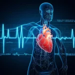 Wie CardioVolumeMetrics die Herzdiagnostik revolutioniert